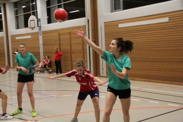 2016_01_23 Landesliga Frauen